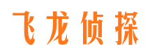 商南市私人调查